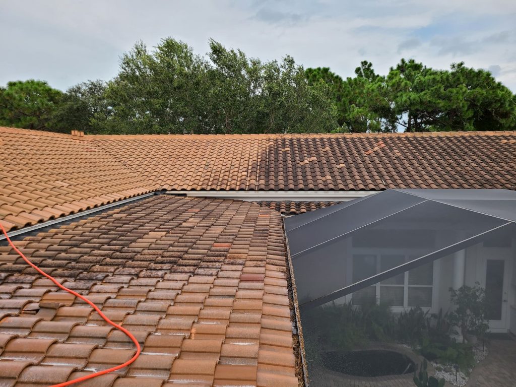 Roof Cleaning Service